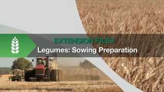 GCTV13 Legumes  Sowing Preparation [upl. by Norford]