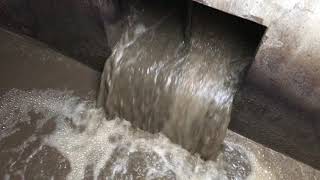 Wastewater Treatment in 1 Minute [upl. by Donell750]