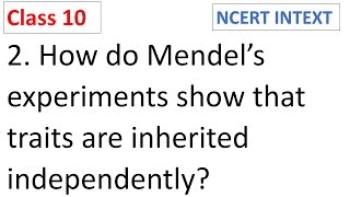 How do Mendel’s experiments show that traits are inherited independently CBSE Class 10 [upl. by Remo]