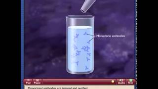 Monoclonal Antibody Production [upl. by Karsten]