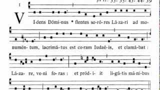 Gregorian chant Videns Dóminus flentes soróres Lázari COMMUNION [upl. by Mariko807]