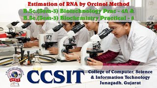 BScSem3 Biotehnology Practical 4A amp Biochemistry Practical 8  Estimation of RNA by Orcinol [upl. by Aynam]