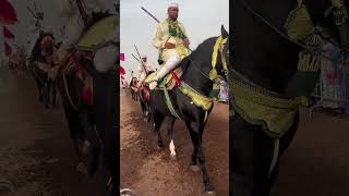 خيول المغرب رمز للجمال والاناقة 💥❤🐎 خيل cavalier horse [upl. by Coy926]