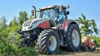 STEYR TERRUS 6270 CVT  Seppi M Starsoil  Fresatura terreno  MORETTO [upl. by Shiff82]