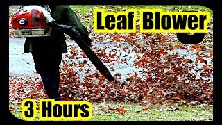 Leaf Blower Sounds  3 hours of Leaf Blower Sound Effect [upl. by Hanschen589]