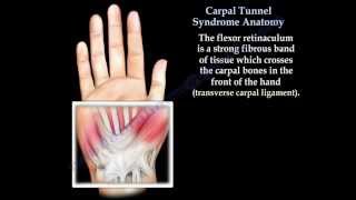 Carpal Tunnel Syndrome anatomy animation  Everything You Need To Know  Dr Nabil Ebraheim [upl. by Bastian]