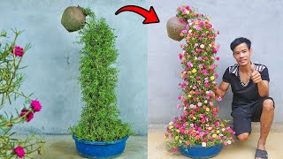 Unique gardening ideas Make a decorative moss rose waterfall for the garden easily [upl. by Imrots]