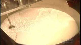 How Its Made Yogurt [upl. by Orecic]