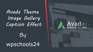 Avada theme gallery image caption effect [upl. by Ellezig]