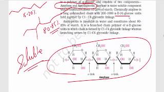 Biomolecules Part 3  Disaccharides amp Polysaccharides  Sucrose Maltose Lactose Starch [upl. by Anitsud]