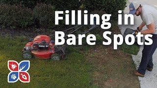 Do My Own Lawn Care  Filling in Bare Spots the Natural Way  Ep25 [upl. by Ervine]