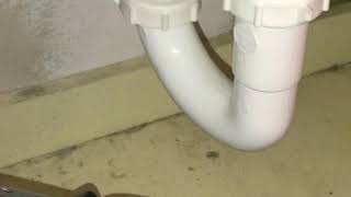 SMELL SEWER GAS don’t call a plumber EASY FIX [upl. by Drucie888]