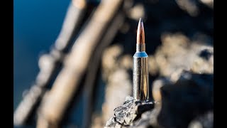 New Cartridge The 68 Western is a Versatile Hunting Round from Browning and Winchester [upl. by Miehar]