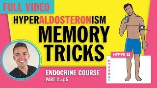 Endocrine  Hyperaldosteronism for NCLEX [upl. by Trilbie]