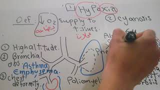 Respiratory new system Hypoxia and Cyanosis dr mohamed fayez [upl. by Carmelia]