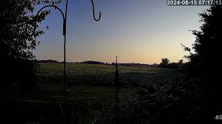 2 weather cams Weather Forecast for Georgetown on 20240815 [upl. by Sinnod]