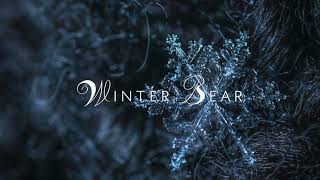 quotWinter Bearquot by V  Orchestral Cover [upl. by Camilla]