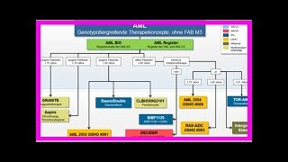 Behandlung für akute myeloische Leukämie [upl. by Air973]