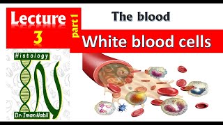 3a Histology of White blood cells part1IntroductionBlood and lymphoid system [upl. by Uis]