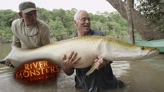 Incredible REEL TIME Arapaima Catch  ARAPAIMA  River Monsters [upl. by Nylacaj]