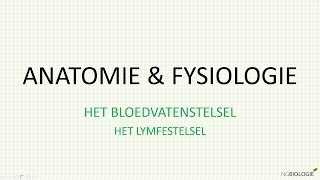 Het lymfestelsel [upl. by Wanda]