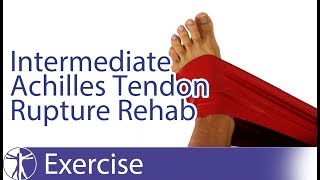 Intermediate Achilles Tendon Rupture Repair Rehab [upl. by Mast]