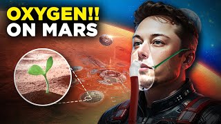 How Humans Will Get Oxygen on Mars [upl. by Ainotna]