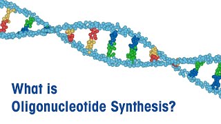 What is Oligonucleotide Synthesis [upl. by Bowe150]