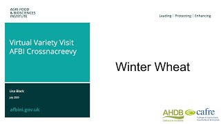 Virtual tour of the AFBI AHDB NIreland winter wheat variety plots 2020 [upl. by Harraf46]