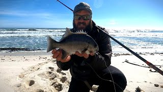 How to Fishing for Galjoen on the West Coast Water reading and Bait presentation Day1 [upl. by Aehta]