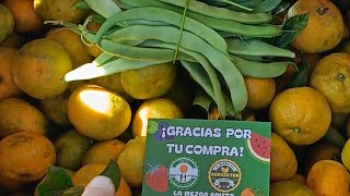 ¡Mi PRIMER PEDIDO de FRUTA ONLINE 🍊🛜elmanualdelagricultor frutaselmanualdelagricultor agicultura [upl. by Acirej]