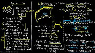 BIOCHEM 9  Fatty Acids [upl. by Rubetta294]