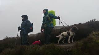 The Dark Peak Way day 2 Win Hill Crookstone Hill Kinder with dogs [upl. by Addiego]