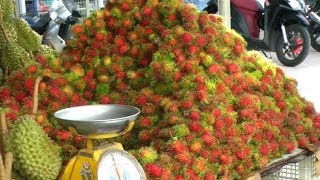 A Rambutan  Lychee Fruit Comparison  Nephelium lappaceum [upl. by Siroval]