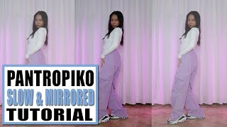 BINI  PANTROPIKO Dance Tutorial Slow amp Mirrored  Rosa Leonero [upl. by Grani]