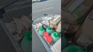 shopping at PAKnSAVE amp COUNTDOWN in Wanganui [upl. by Henden]