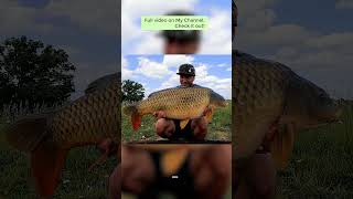 Berners HallBCAC Biggest Fish 34LB fishing carpfishingangling carper [upl. by Nichani]