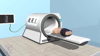 SeeThru Science How MRI Machines Work [upl. by Phebe]