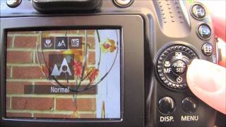 Canon Powershot SX40 HS Tutorial Step Seven  Manual Focus [upl. by Gratia]