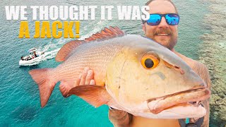 Mangrove Jack OR Red Bass  Epic night amp Day at sea [upl. by Breban253]