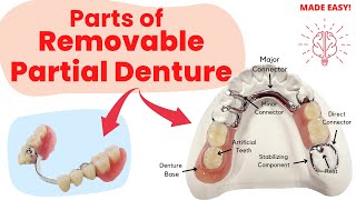 Parts of Removable Partial Denture  Short amp Complete [upl. by Crystie]