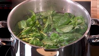 PESTO  Como hacer PESTO de ALBAHACA [upl. by Janek]