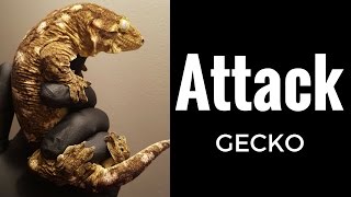 Giant Gecko Attack Rhacodactylus Leachianus defensive noises  Reptile Edge [upl. by Xam]