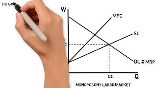 Monopsony Labor Market [upl. by Erolyat858]