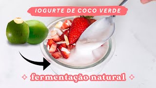 O IOGURTE VEGANO MAIS FÁCIL SIMPLES E BARATO  FERMENTAÇAO NATURAL [upl. by Otrebmal]