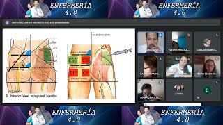 🌟DIVISIÓN REGIÓN DORSOGLÚTEA🌟vía intramuscular P1 [upl. by Andres]