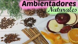 Como preparar ambientadores caseros y naturales  Alicia Borchardt [upl. by Allimac821]