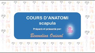 La scapula [upl. by Cyrille]