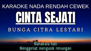 BCL  Cinta Sejati Karaoke Lower Key Nada Rendah Wanita 2 Cm [upl. by Naujled240]