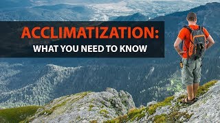 Acclimatization What You Need to Know [upl. by Burrton437]